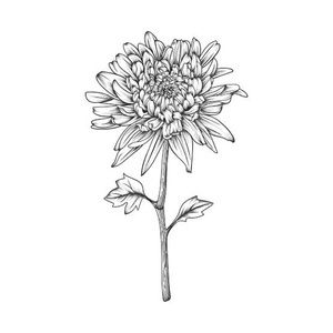 Meet your Posher, Sharni